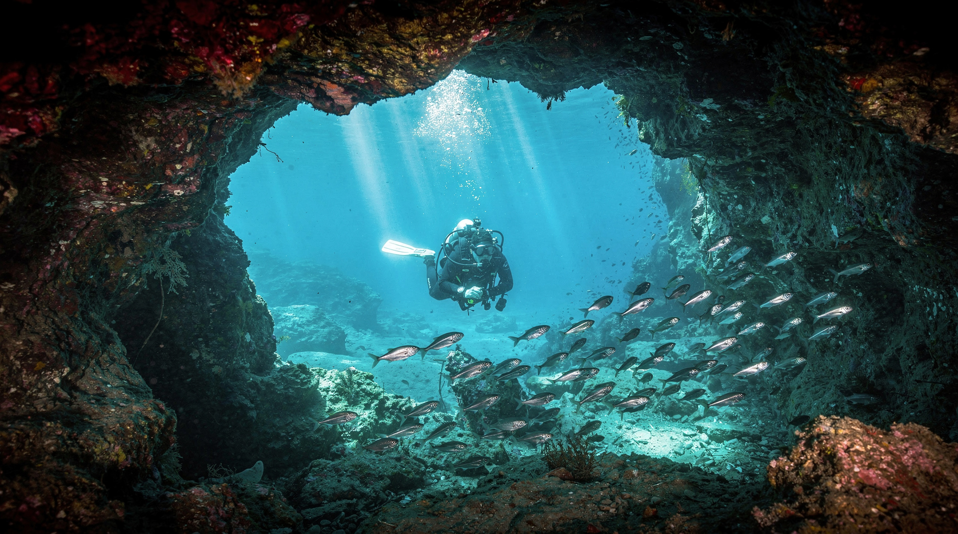 Cape Greco dive and sea caves: Cyprus's best east coast diving
