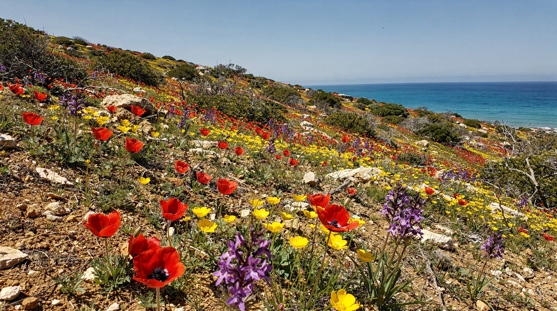 Cyprus in spring: why April and May are the island's finest months