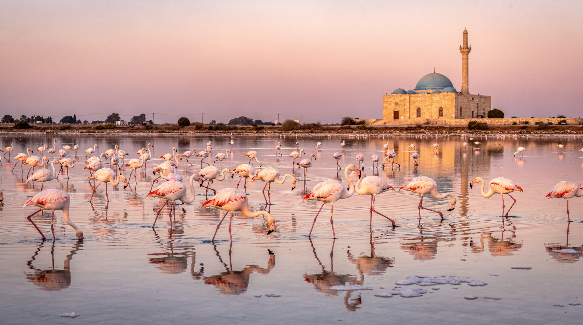 Day trips from Larnaca: the best excursions from Cyprus's main airport city