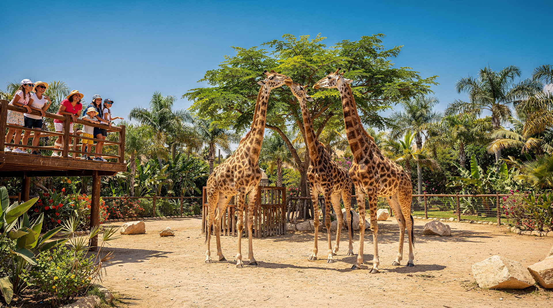 Paphos zoo guide: what to see, tickets, and practical tips