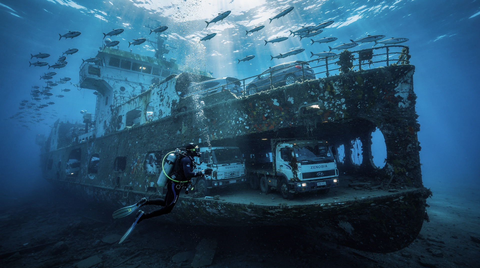 Zenobia wreck dive: the complete guide for divers